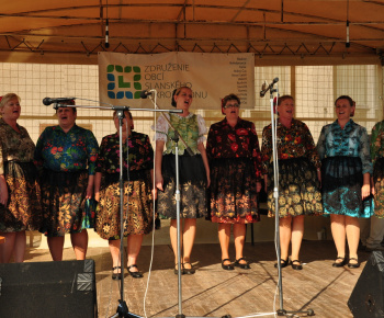 Kultúra